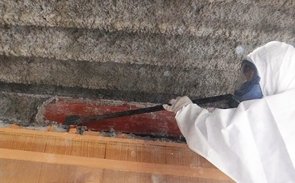 ダイオキシン対策 ダイオキシン対策